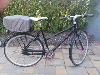 Kildemos dame cykel