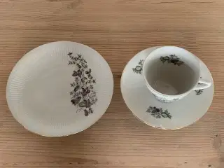 Kaffestel med violer og guld kant - vintage 