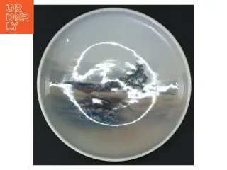 Hvid porcelænstallerken (str. 16 cm i diameter)