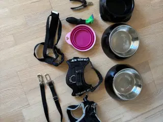 Hundeting 