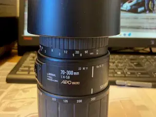 sigma 70-300mm med macro og zoom til canon