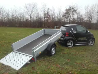 Stema REX 750-301