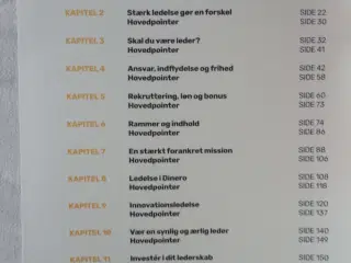 Leder  -  Iværksætter  ¤