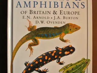 reptiles and amphibians of britain and europe, by 