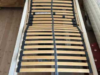 Elevationsseng bund