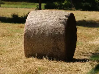 Økologiske rundballer hø