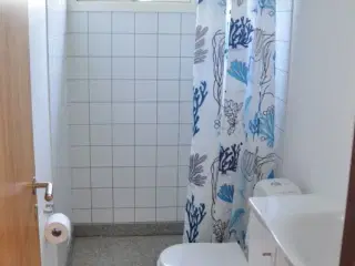 Direkte til vandet med pragtfuld havudsigt