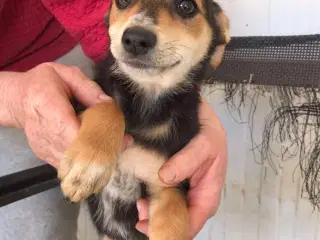 Søde kære Flytter msngler sin helt egen familie❤️