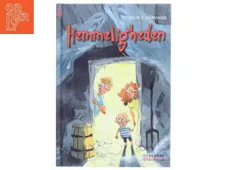 Hemmeligheden af Iselin C. Hermann (Bog)