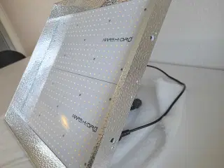 LED - Grolys
