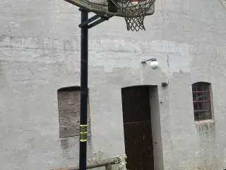 Basketball  kurv