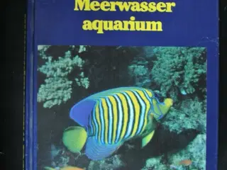tropische zierfische im meerwasser aquarium, von f