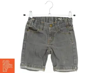 Grå denim shorts til børn fra Molo (str. 98)