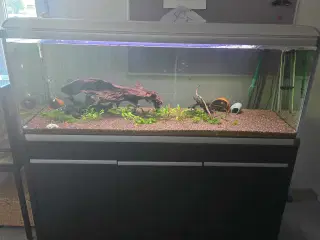 Akvarie med alt 
