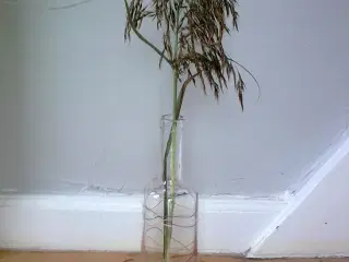 Flaske med serpentiner følger med