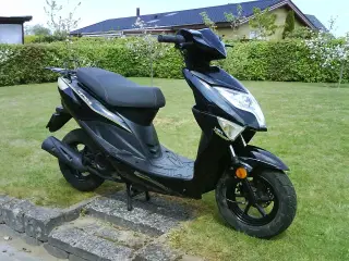 VGA Explora 30 1 ejer  KUN 462 km