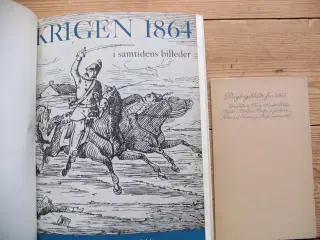 Krigen 1864, 2 bøger
