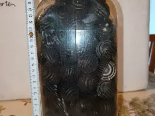 Bio bolde