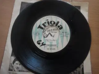 SINGLE - The Meteors - Tornerose 