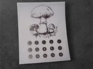 Talmagi med Svampe – Kunst og Matematik på Papir