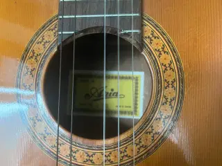 Akustik Guitar 