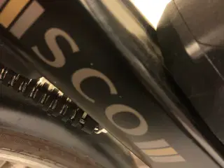 Herre el cykel med trailer