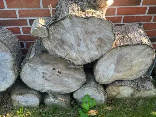 Brænde