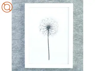 Billedramme fra Kjærulff (str. 33 x 24 cm med ramme kant)