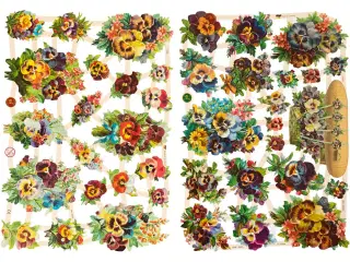 Glansbilleder med Stedmoderblomster - 2 ark 16,5x23,5 cm