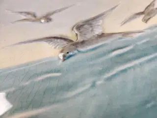 Ophængsfad 