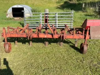 Strubharve 9 tands