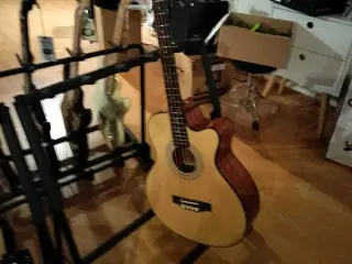 Akustisk Bas med pickup og taske