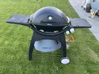 Weber q300