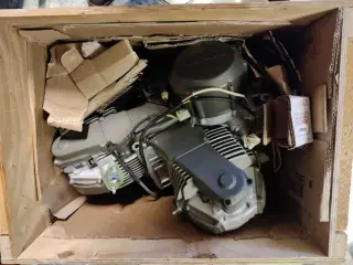Ducati monster 600 motor 