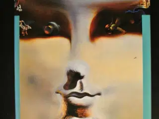 salvador dali. engelsk tekst, by robert descharnes