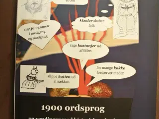1900 ordsprog og vendinger med historiske udtryk, 