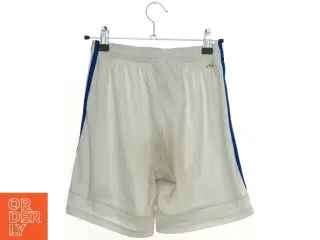 Fodboldshorts FCK fra Adidas (str. 152 cm)