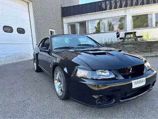 Ford Mustang SVT Cobra ’Terminator’