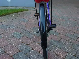 Everton dame cykel sælges er 100 procent i orden  