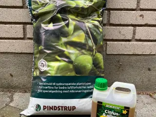 Jord til citron planter