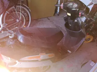 TMS Classic 1998