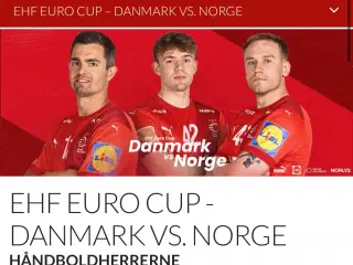 2 adgange til Danmark - Norge 6 november