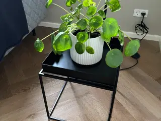 HAY Tray Table 40 x 40 cm Sort Metal