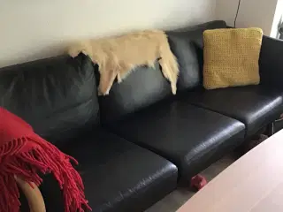 Lædersofa