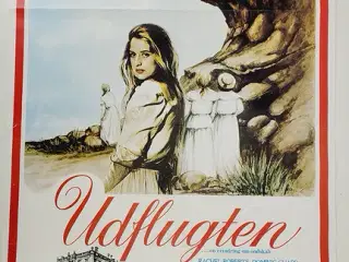 ⭐️- Plakat: Vintage - Udflygten