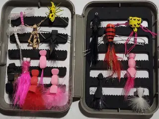 Nye skumbiller