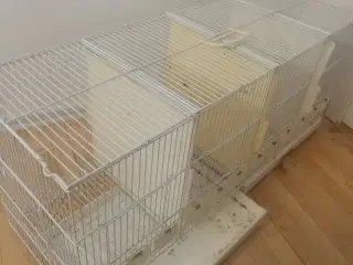 Fuglebur til salg 