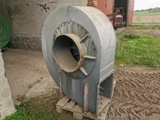 - - - 5,5 hk kornblæser