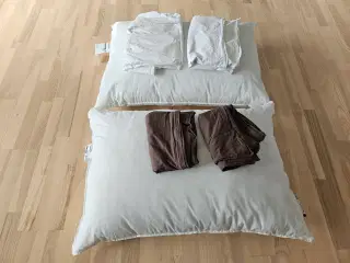 2 stk. Hovedpude + Pudebetræk 