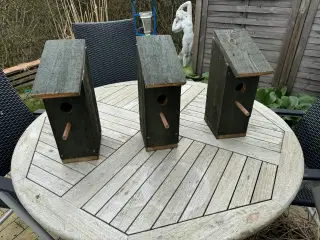 Fuglekasser